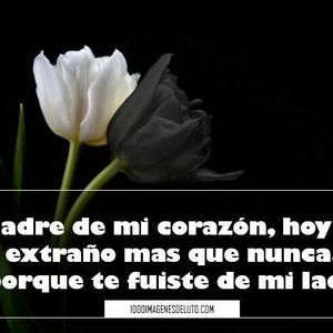 Meet your Posher, Lourdes